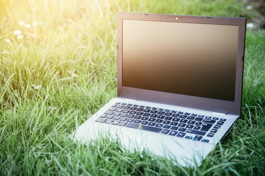 Close up of laptop lying in the green grass, studying and learning outdoors in the park