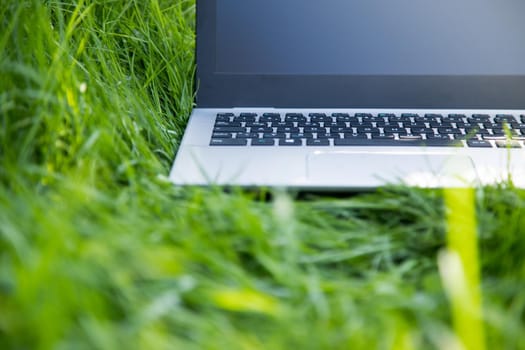 Close up of laptop lying in the green grass, studying and learning outdoors in the park