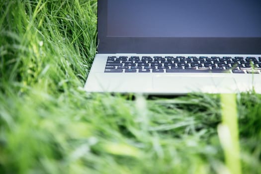 Close up of laptop lying in the green grass, studying and learning outdoors in the park