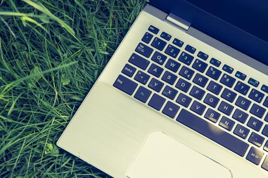 Close up of laptop lying in the green grass, studying and learning outdoors in the park