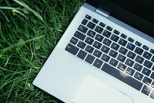 Close up of laptop lying in the green grass, studying and learning outdoors in the park