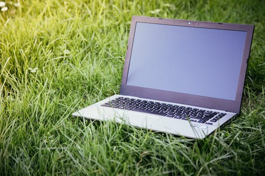 Close up of laptop lying in the green grass, studying and learning outdoors in the park