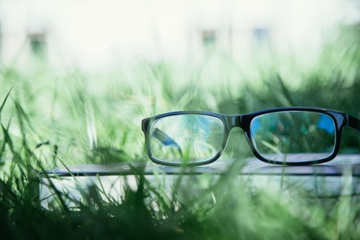 Black glasses and book outdoors in the park, summer time