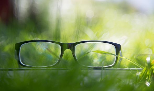 Black glasses and book outdoors in the park, summer time