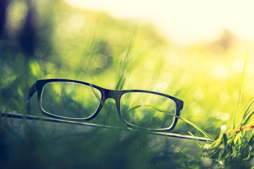 Black glasses and book outdoors in the park, summer time