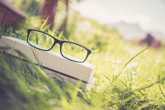 Black glasses and book outdoors in the park, summer time