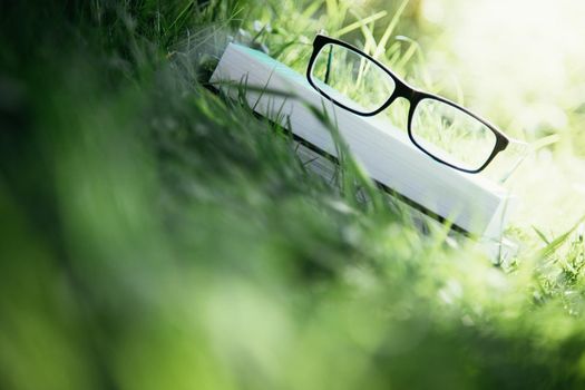 Black glasses and book outdoors in the park, summer time