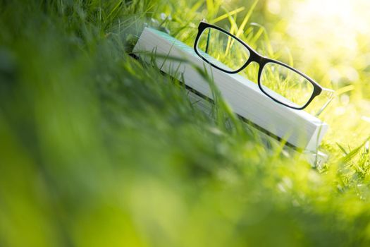 Black glasses and book outdoors in the park, summer time