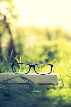 Black glasses and book outdoors in the park, summer time