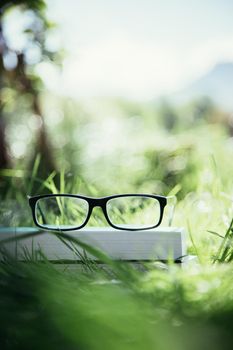 Black glasses and book outdoors in the park, summer time