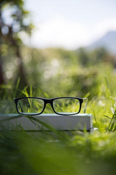 Black glasses and book outdoors in the park, summer time