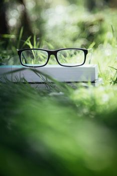 Black glasses and book outdoors in the park, summer time