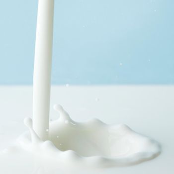 Pouring milk splash on blue background close-up