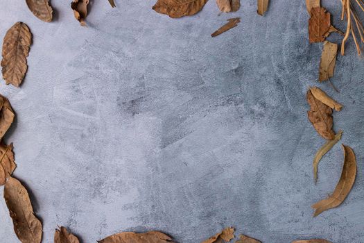 Marbling gray background with dried leaves on the edge