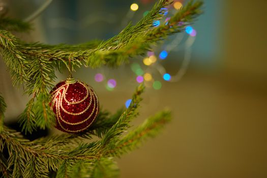 Cropped image of christmas tree with red toy in room. Soft selective focus