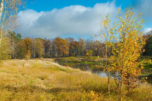 Scenic landscape with calm river and green vegetation. Sluch .Belarus
