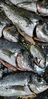 Fresh Fish On Tray Close Up