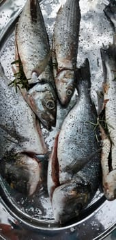 Fresh Fish On Tray Close Up