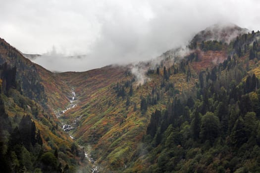 Ayder Plateau Natural Gelintulu Waterfall surrounded by autumn colors near Rize, Turkey.