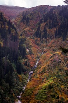 Ayder Plateau Natural Gelintulu Waterfall surrounded by autumn colors near Rize, Turkey.