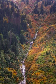 Ayder Plateau Natural Gelintulu Waterfall surrounded by autumn colors near Rize, Turkey.