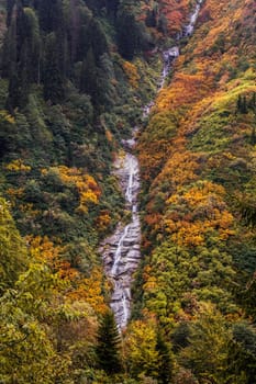 Ayder Plateau Natural Gelintulu Waterfall surrounded by autumn colors near Rize, Turkey.
