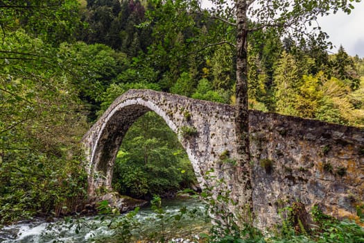 Famous Senyuva Cinciva Stone Bridge On The Storm Valley Firtina Vadisi, Rize, Turkey.