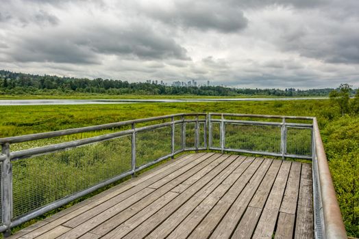 Recreational deck with observation over the park of Burnaby lake.