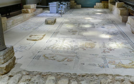Tzipori, Israel - March 29, 2021: View of the mosaic floor in the ancient synagogue, in Tzipori National Park, Northern Israel