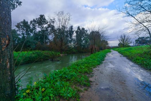 View of the Dan stream, a source of the Jordan River. Hula Valley, Northern Israel
