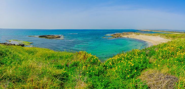 Panoramic view of the beach, coves and sandstone cliffs in Dor beach, Northern Israel