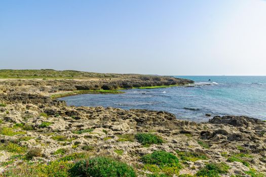 View of the beach, coves and sandstone cliffs in HaBonim Beach Nature Reserve, Northern Israel