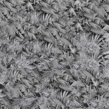 Ice frost crystals on the glass in black and white