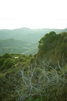 Cloudy sunset landscape. Mountain with vegetation. No people