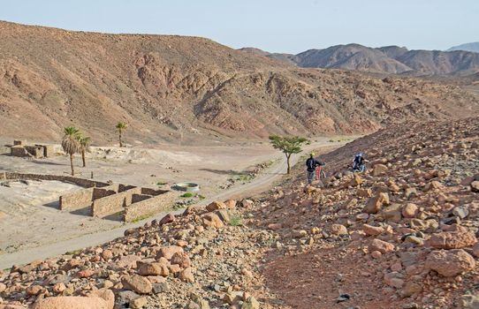 Date palm trees growing in an isolated small oasis at arid dry rocky desert valley with cyclists on expedition