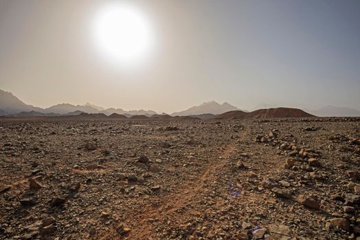 Landscape scenic view of desolate barren rocky eastern desert in Egypt with mountains at sunrise