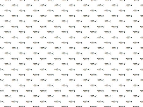 Set of river fish seamless patterns. Fisherman's dream. Suitable for use in printed materials or wrapping paper.