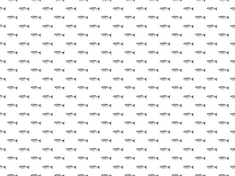 Set of river fish seamless patterns. Fisherman's dream. Suitable for use in printed materials or wrapping paper.