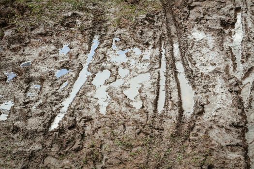 Mountain bike traces in the wet mud