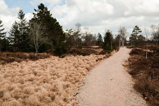 The High Fens, Hoge Venen, Belgium, Signal Van Botrange