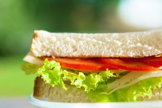 cheese and veggies sandwich - healthy snacks and homemade food styled concept, elegant visuals