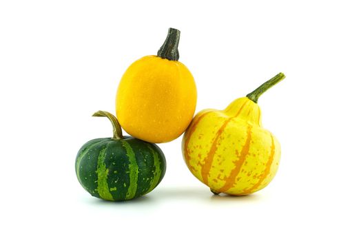 Colorful pumpkins and squashes isolated on white background