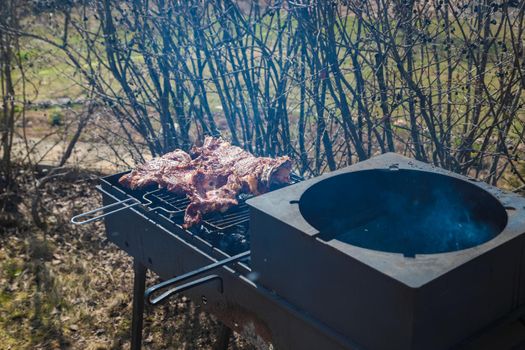 Chunks of meat are fried on a grill on a large black grill. Picnic. Close-up