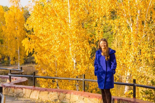 A young girl walks in the autumn park, stands behind a tree. The trees have yellow leaves.