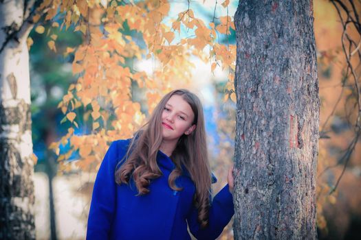 A young girl walks in the autumn park, stands behind a tree. The trees have yellow leaves.