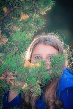 A girl with big eyes looks through a branch of a Christmas tree in the park.