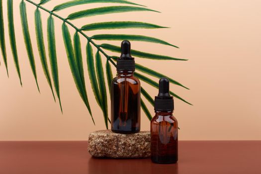 Two skin serums in dark glass bottles on stone against beige background with palm leaf. Concept of anti aging skin care products for woman