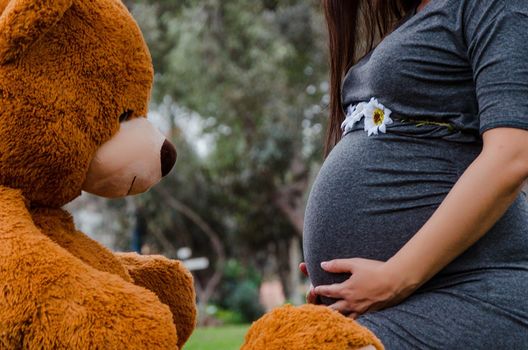 Teddy bear looking at the tummy of the future mom in a park. Pregnancy, fatherhood, preparation and expectation concept.