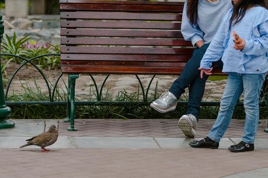 Mother and her little daughter sitting on a bench looking at a pigeon in the park