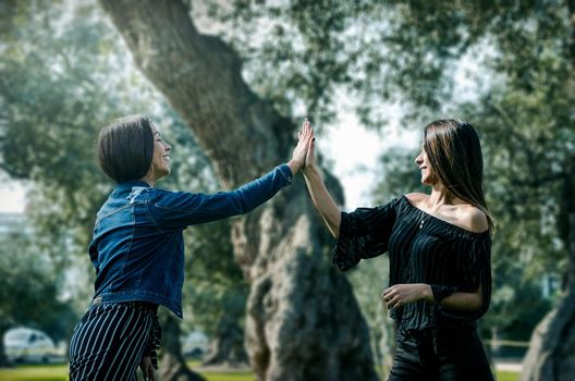 Two young women on the park giving high five. Women friends enjoying park vacation.